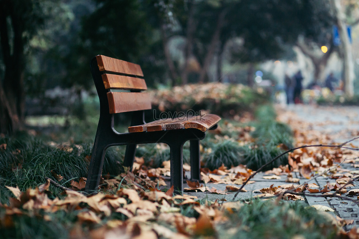 Park Bench Picture And HD Photos | Free Download On Lovepik