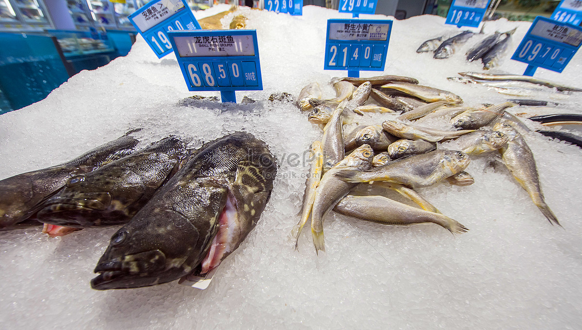 Mariscos En El Supermercado Foto | Descarga Gratuita HD Imagen de Foto -  Lovepik