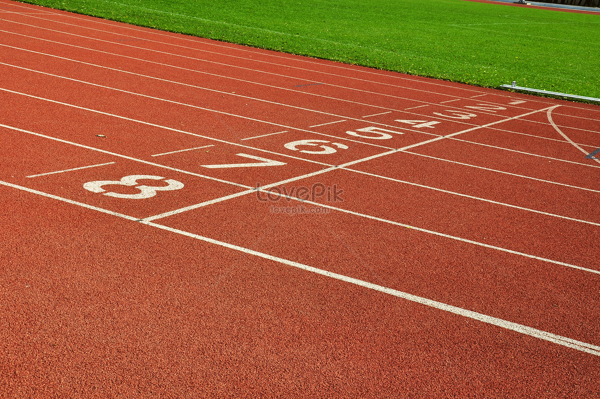 A sport ground is. Running track texture. Covered Sport ground reference.