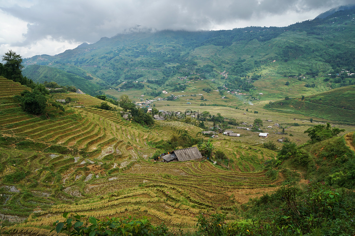 Terraced Field Of Sha Ba Mountain In Vietnam Picture And HD Photos ...