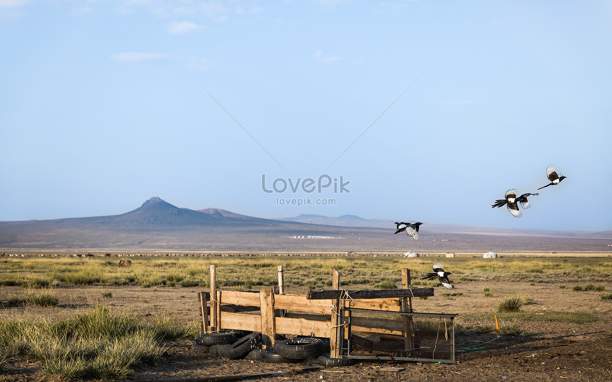 The Beautiful Scenery Of The Autumn Prairie Picture And HD Photos ...