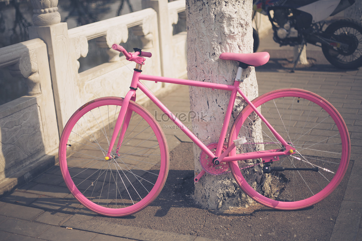 A Bicycle In Shichahai Picture And HD Photos | Free Download On Lovepik