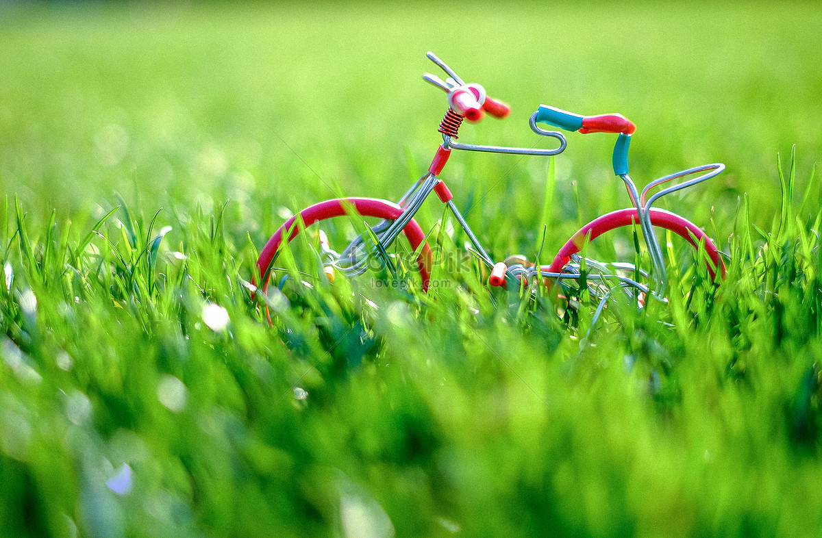 Mô hình xe đạp đồng cỏ: Thưởng thức hình ảnh các mẫu mô hình xe đạp đồng cỏ, để cảm nhận sự tỉ mỉ và tinh tế của những sản phẩm này. Với vật liệu là đồng cỏ tự nhiên, những chi tiết trang trí tinh tế và công nghệ sản xuất chuyên nghiệp, mô hình xe đạp đồng cỏ luôn thu hút sự quan tâm và tín nhiệm từ các tín đồ sưu tập.