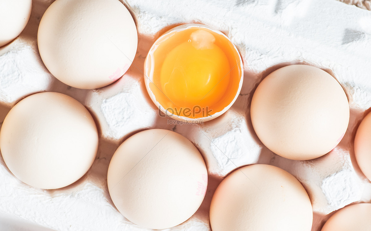 Egg Picture And HD Photos | Free Download On Lovepik