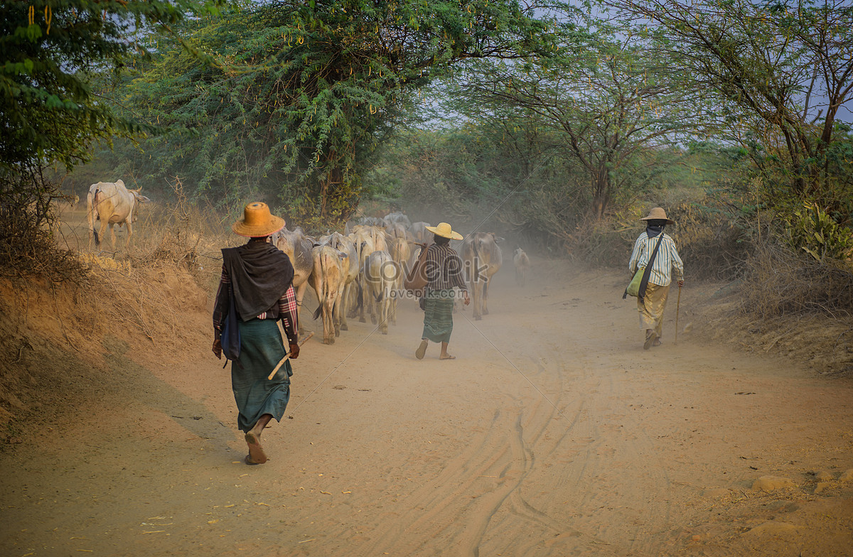 People in the countryside