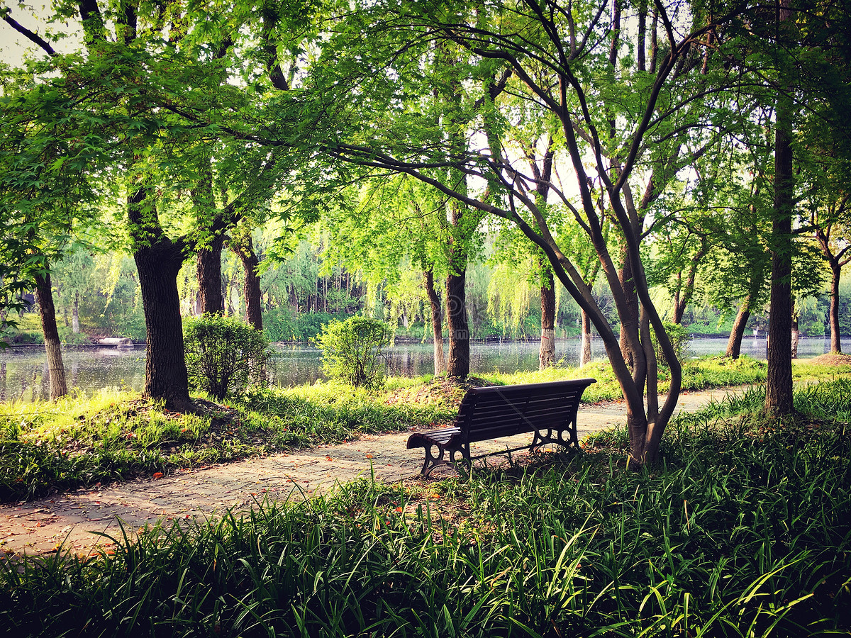 ảnh Thượng Hải Phong Cảnh Công Viên Thế Kỷ Tải Xuống Miễn Phí, ảnh thượng  hải, môi trường, công viên đẹp Trên Lovepik