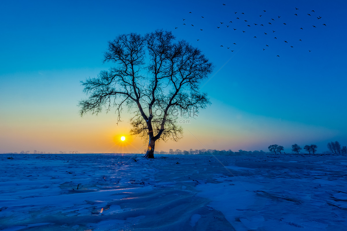 Hãy một lần thưởng thức phong cảnh mùa đông với ảnh đẹp như tranh vẽ. Hãy đắm mình trong màu trắng xóa của tuyết, những cánh đồng vàng lá và một bầu trời xanh trong vắt cuối đông. Bức ảnh tuyệt đẹp sẽ khiến bạn cảm thấy như đang sống trong một tiểu thuyết đầy màu sắc.