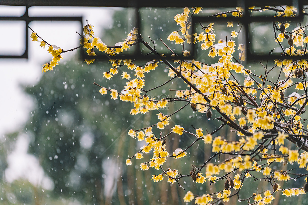 Snow Scenery In Chinese Classical Gardens Picture And HD Photos | Free ...