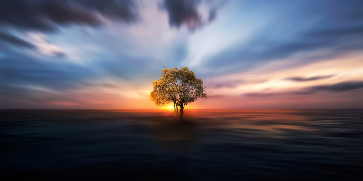 Water Tree Picture And HD Photos | Free Download On Lovepik