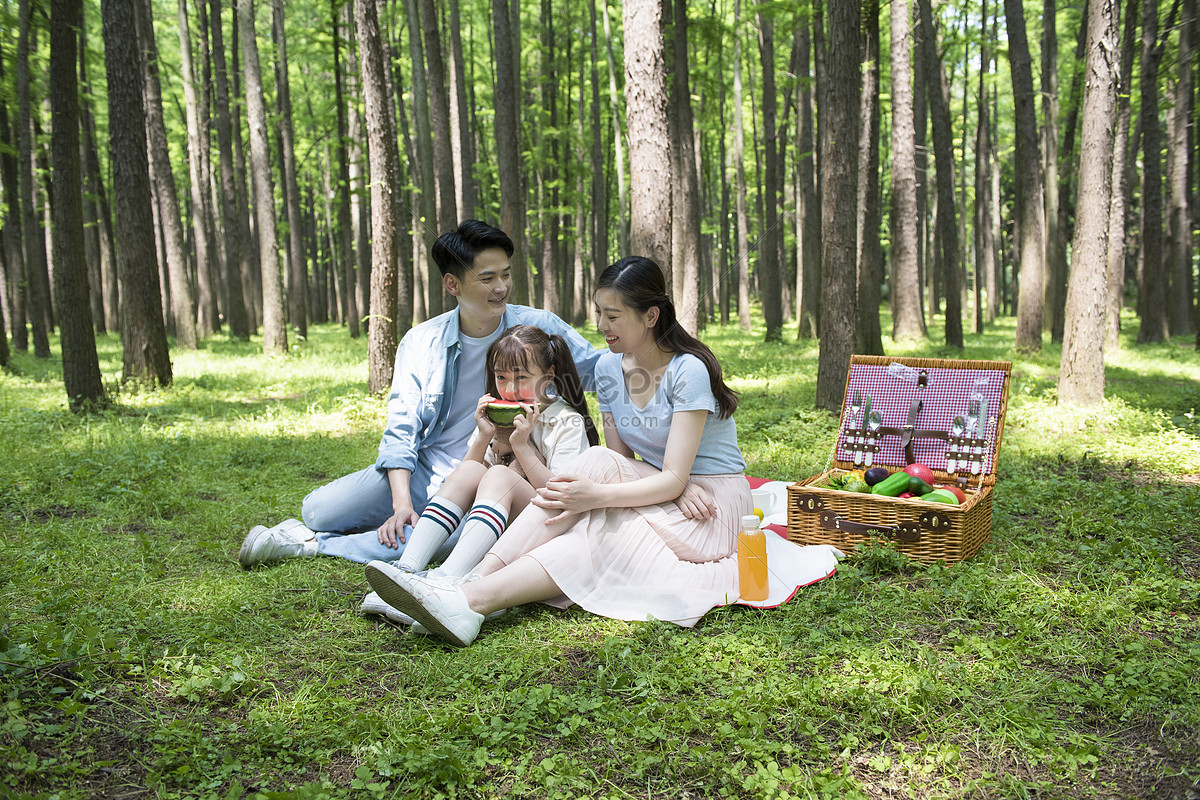 A Family In The Woods Picture And HD Photos | Free Download On Lovepik