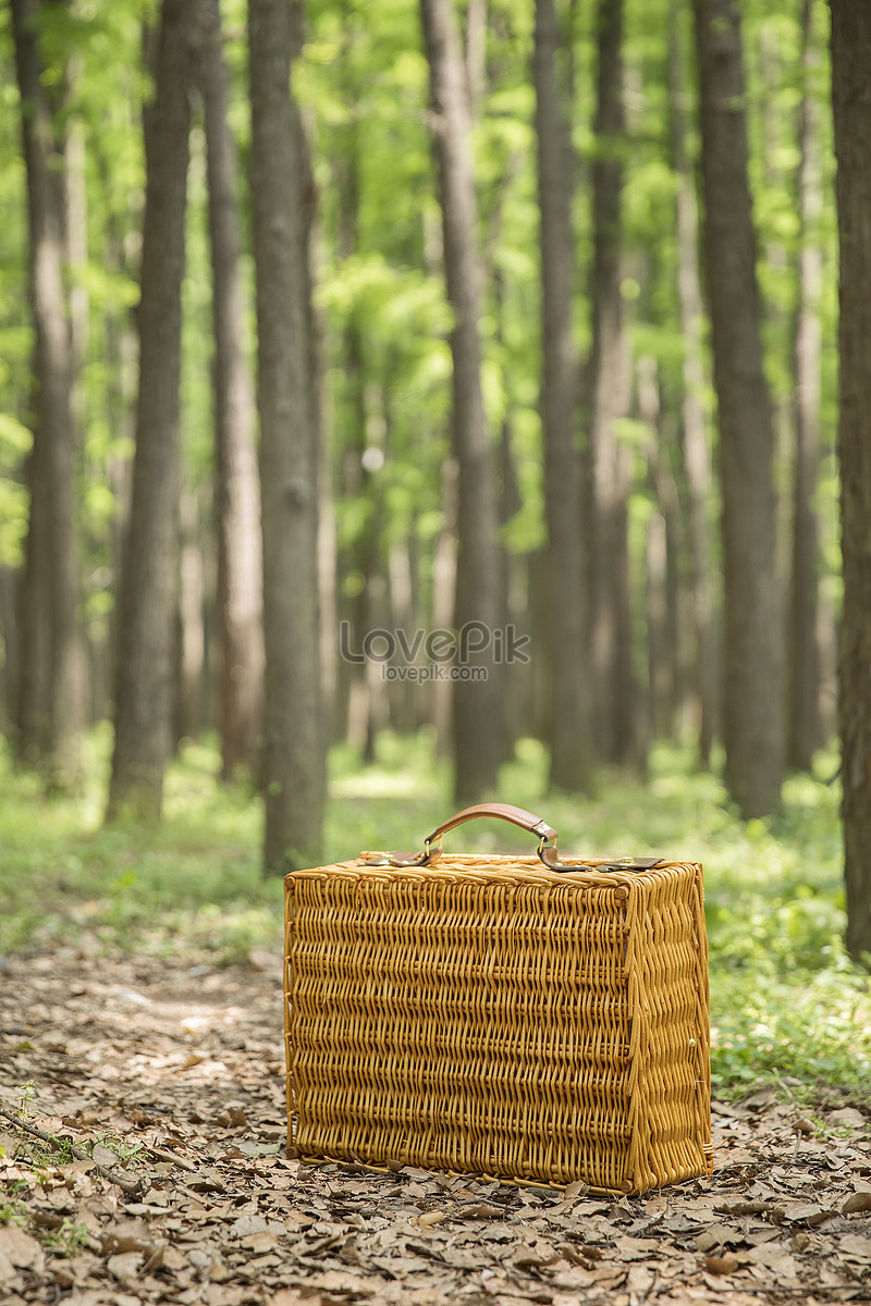 Những hình ảnh trong giỏ picnic đầy phong phú và tươi sáng sẽ khiến bạn thèm muốn đến ngay với thiên nhiên. Tận hưởng không khí thoáng đãng và thư giãn tươi mát với những hình ảnh đầy màu sắc và đầy cảm xúc này.