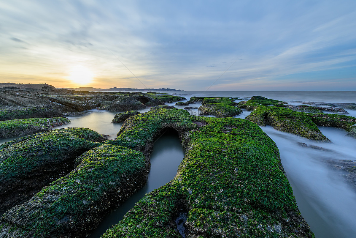 Green Algae Reef Picture And HD Photos | Free Download On Lovepik