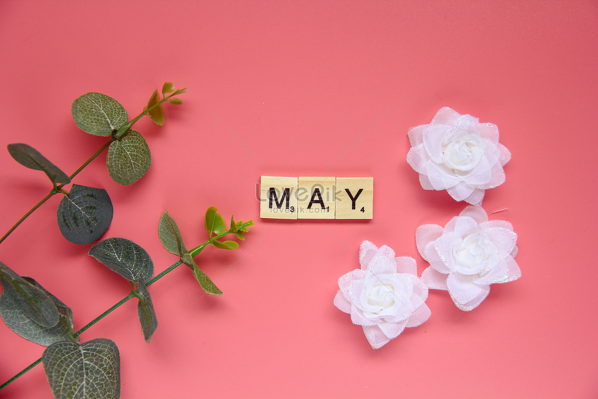 Hello May Still Life Material Picture And HD Photos | Free Download On ...