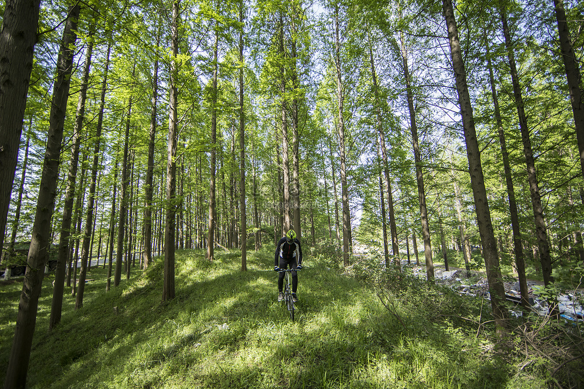 Riders Ride In The Forest Mountain Picture And HD Photos | Free ...