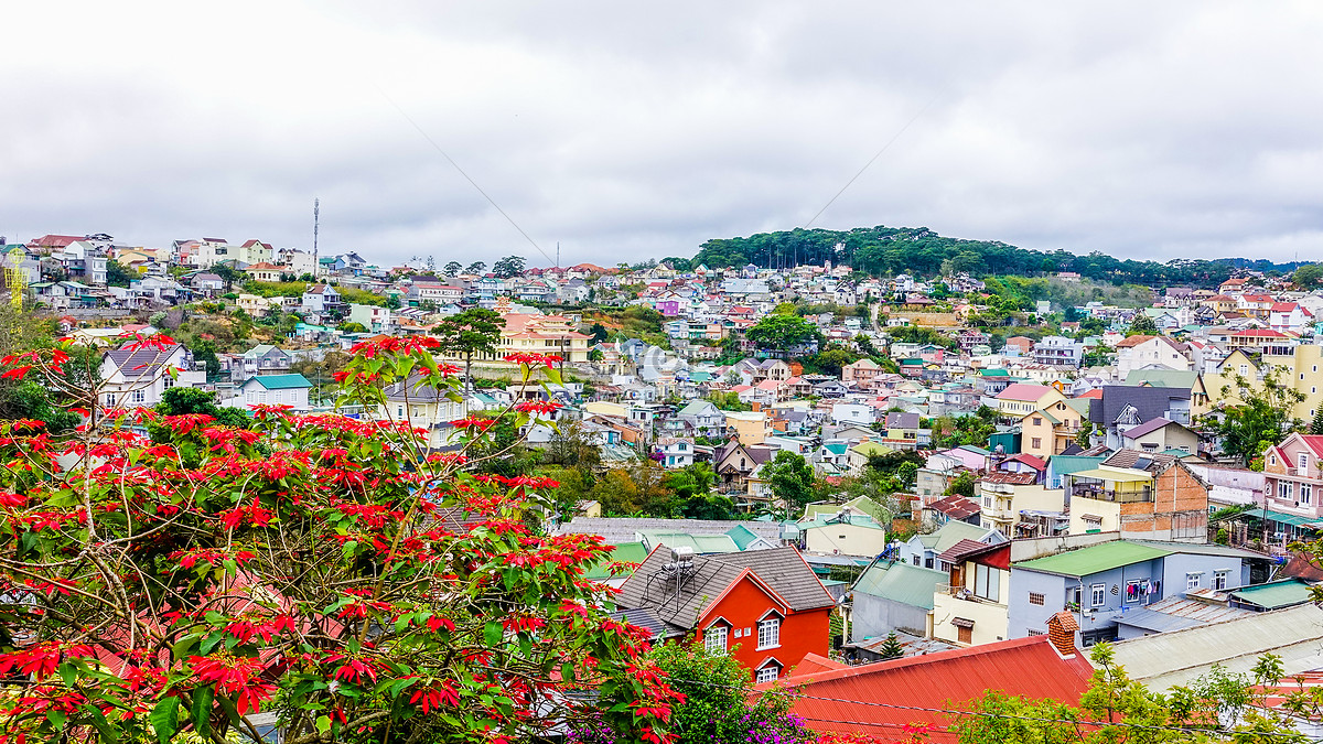 The City Scenery Of Dalat, Vietnam Picture And HD Photos | Free Download On  Lovepik