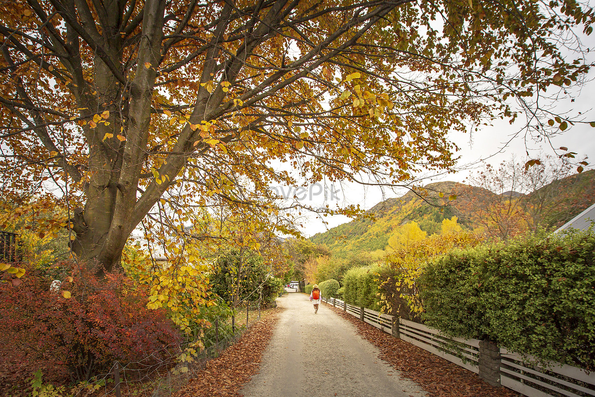 Autumn In Arrowtown, New Zealand Picture And HD Photos Free Download