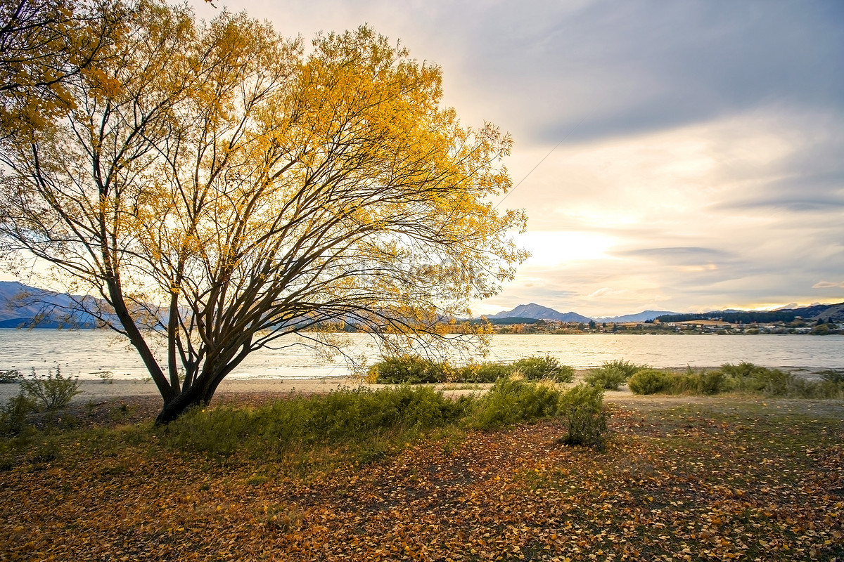 Autumn In Wanaka, New Zealand Picture And HD Photos | Free Download On ...