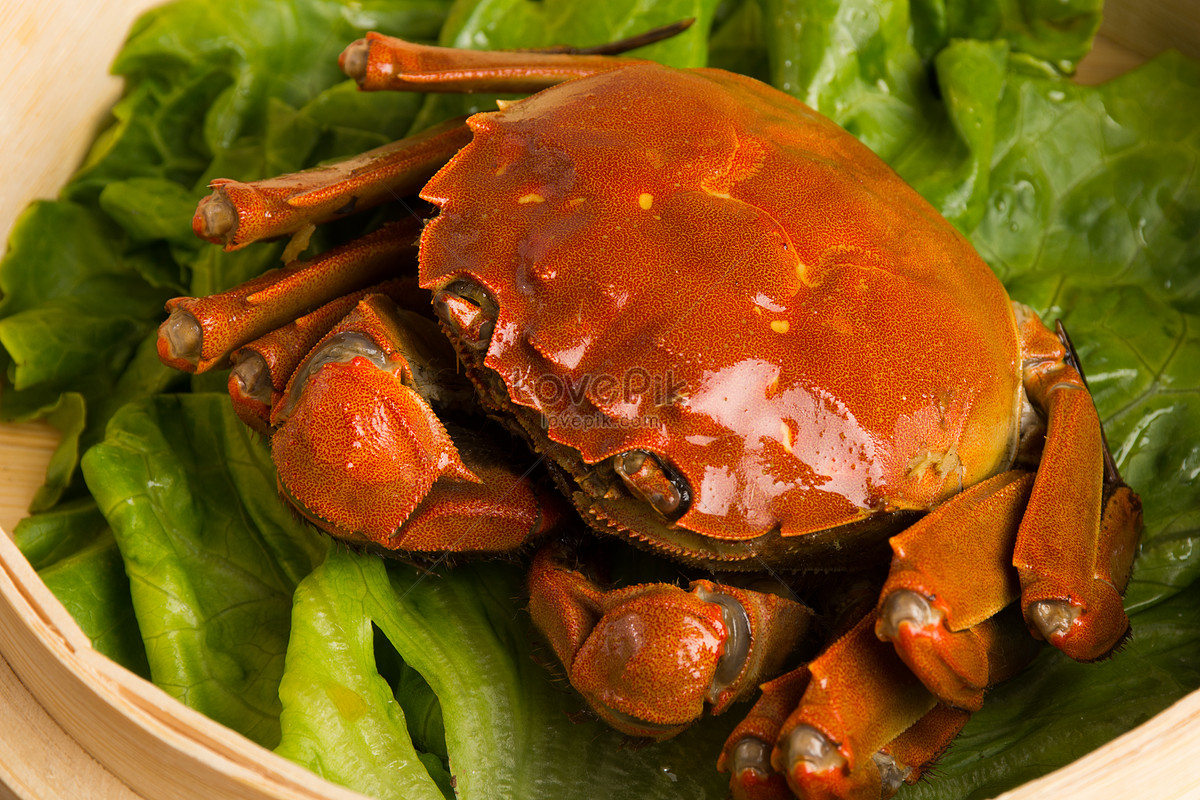 Delicious Crab Picture And HD Photos | Free Download On Lovepik