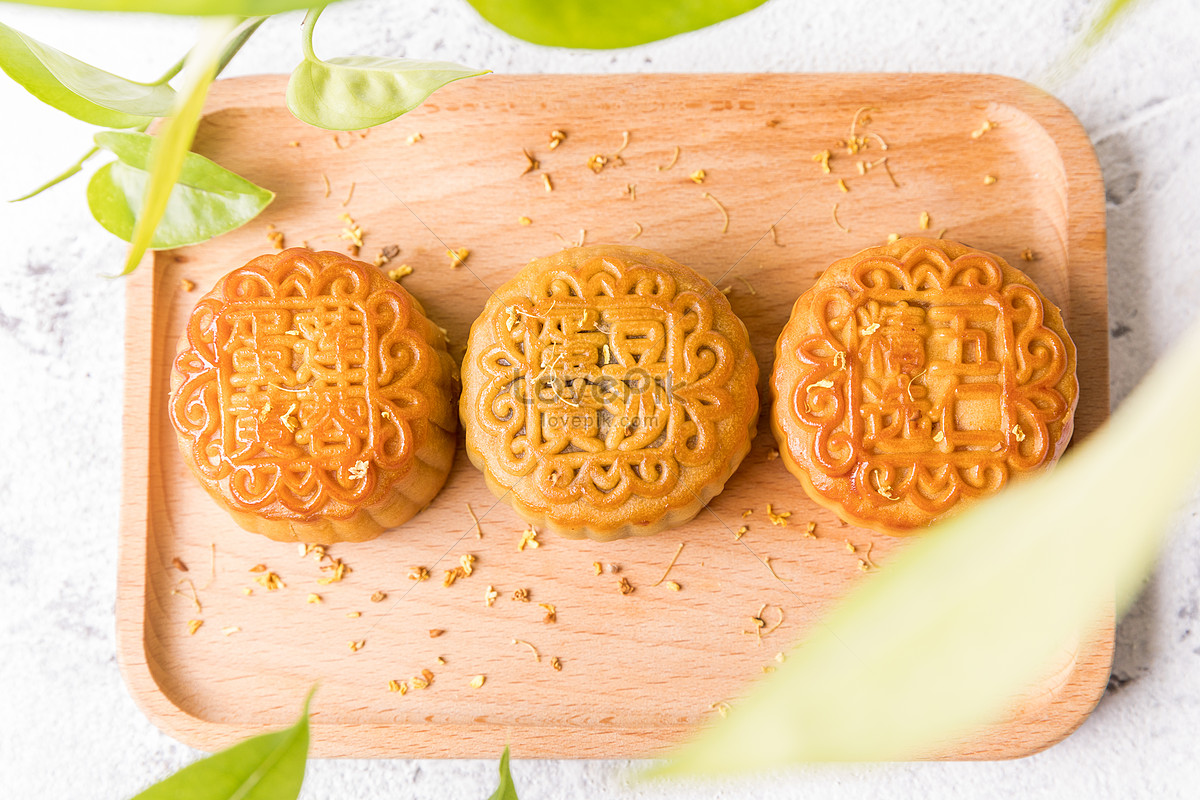 Mooncake Festival