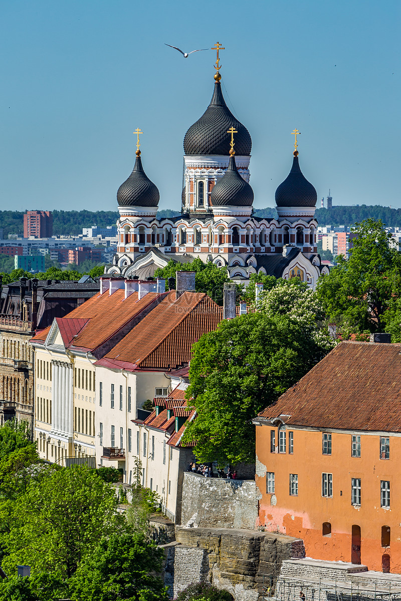 Tallinn Estonias Capital Showcases Medieval Fortresses And Towers Photo  Background And Picture For Free Download - Pngtree