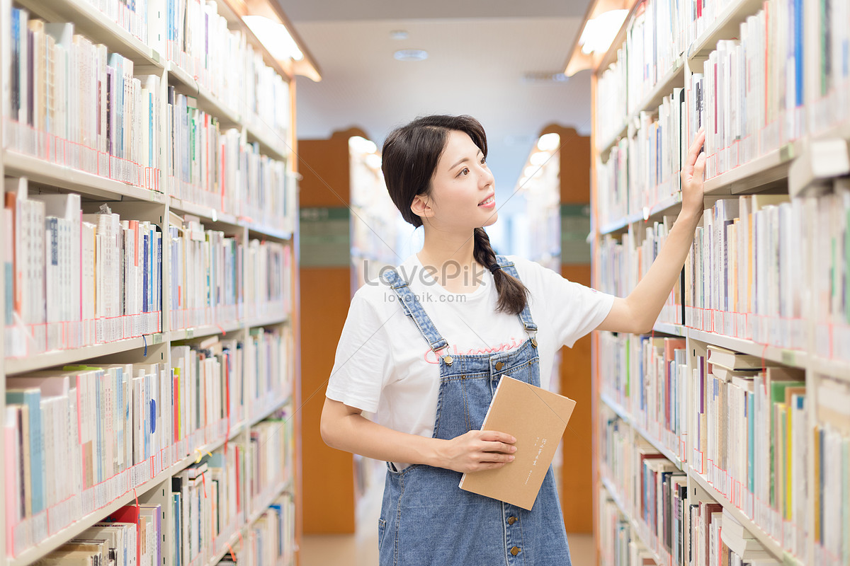 เพื่อนร่วมชั้นอ่านหนังสือในห้องสมุด Hd ภาพถ่ายเพื่อนร่วมชั้น ความงาม