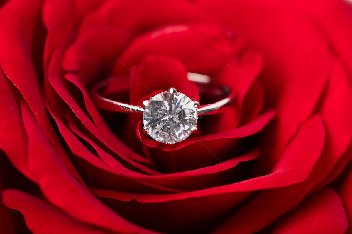 Double Wedding Rings Box Velvet Heart Shape Red Rose Flower Box Jewelry  Display Wholesale - AliExpress