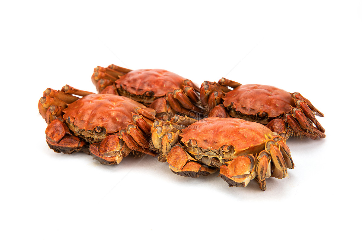 White Hairy Crabs Bottom Material Picture And HD Photos | Free Download ...