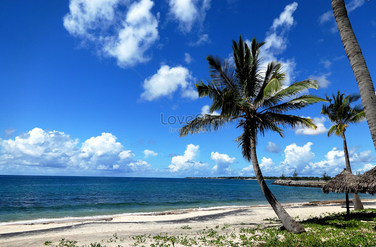 Hãy khám phá vẻ đẹp hoang sơ của Biển Mozambique với những bờ cát trắng mịn và nước biển trong xanh tựa ngọc. Chắc chắn bạn sẽ bị đắm say vào khung cảnh tuyệt đẹp này!