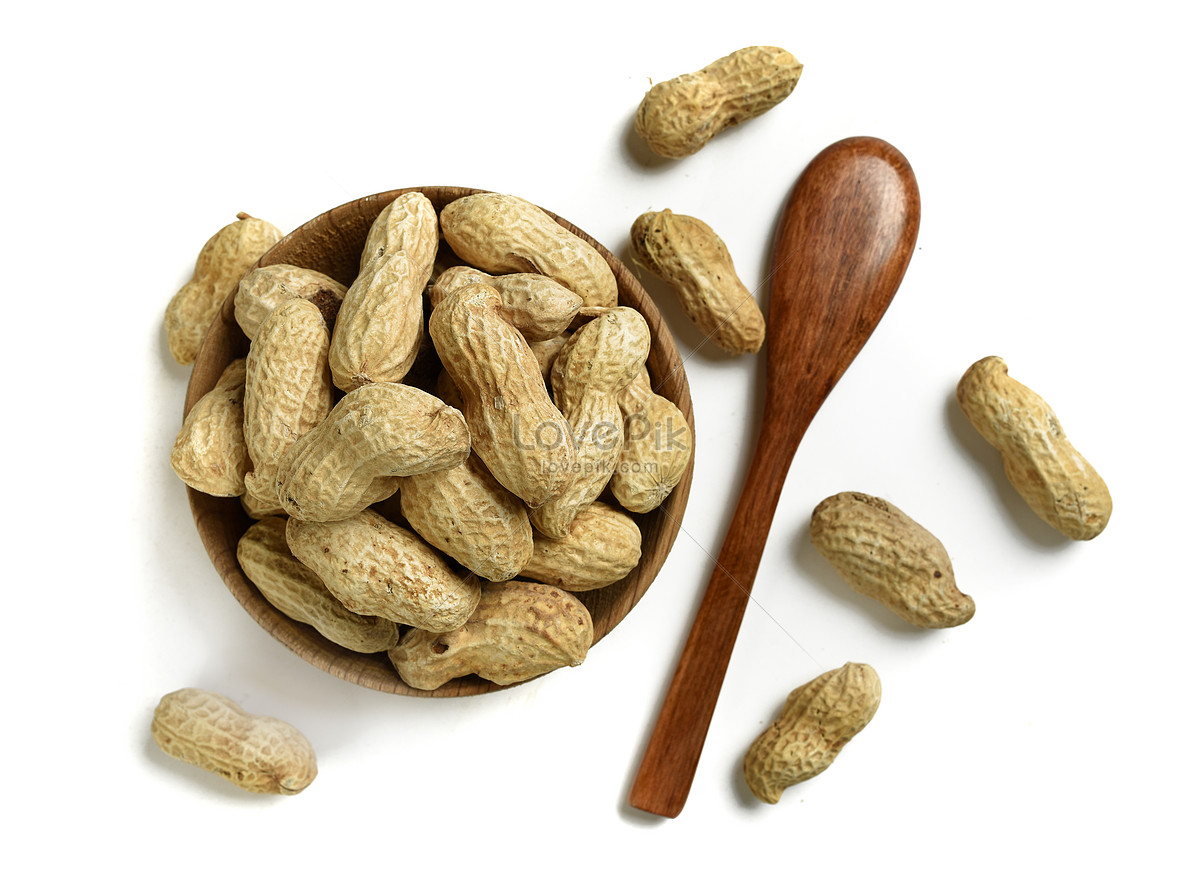 Peanut Picture And HD Photos | Free Download On Lovepik