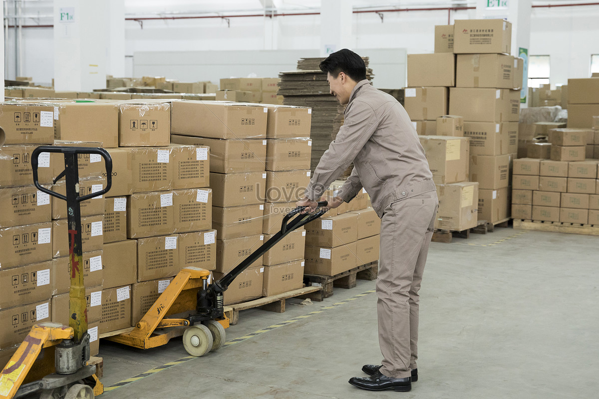 Warehouse Keeper Arranges Consignment Picture And HD Photos Free 