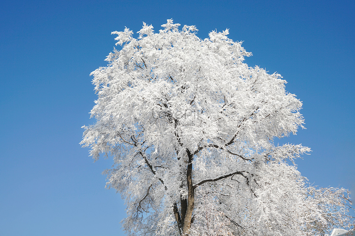 Mist In Kazakhstan Picture And HD Photos | Free Download On Lovepik