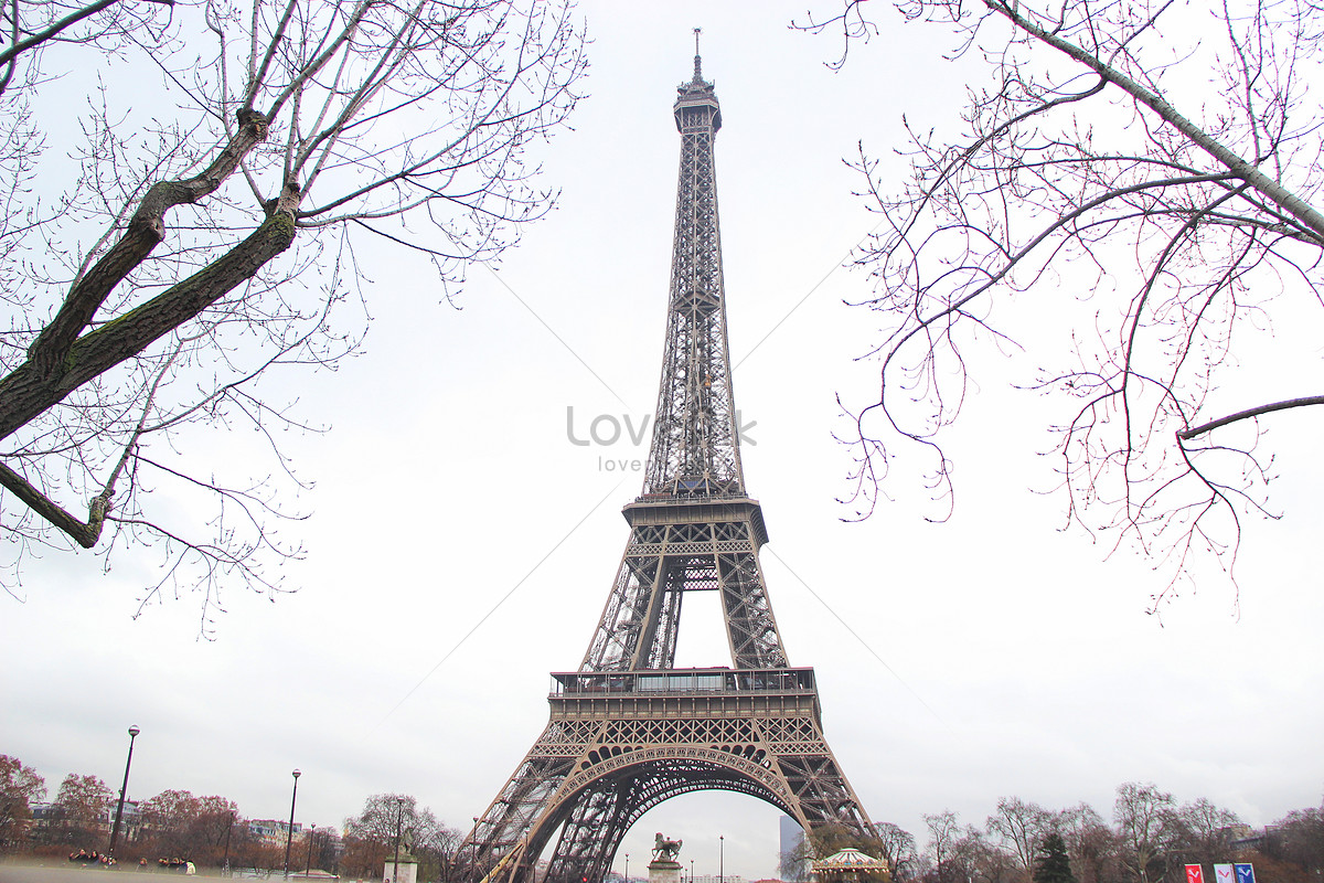 ảnh Tháp Eiffel Paris Vào Mùa đông Tải Xuống Miễn Phí, ảnh cây ...