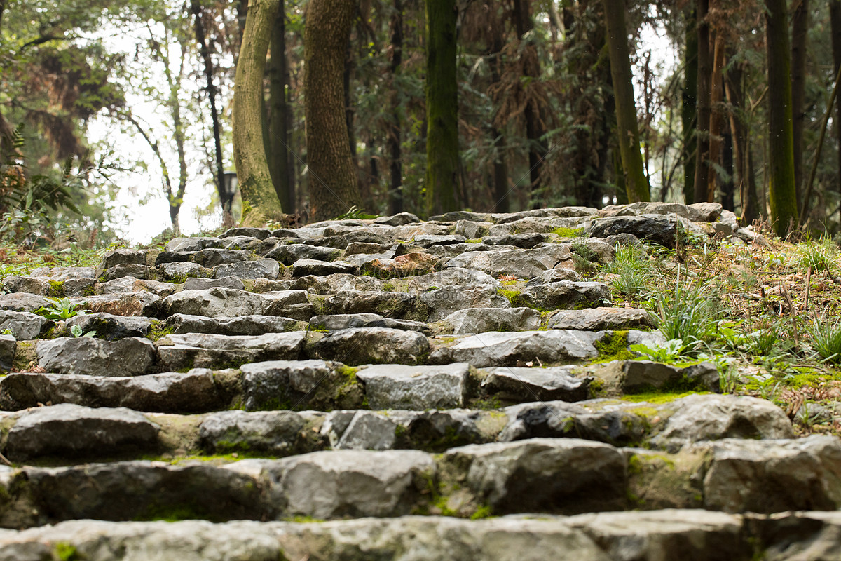 Flagstone Road In The Country Picture And HD Photos | Free Download On  Lovepik