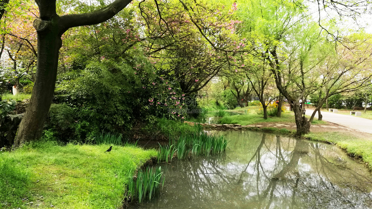 Spring Wuxi Yuantouzhu In Jiangnan Picture And HD Photos | Free ...