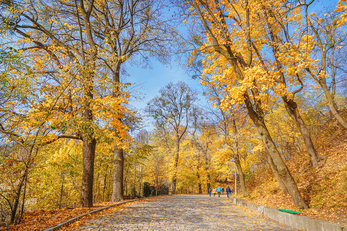 Autumn In Lviv Ukraine Picture And HD Photos | Free Download On Lovepik