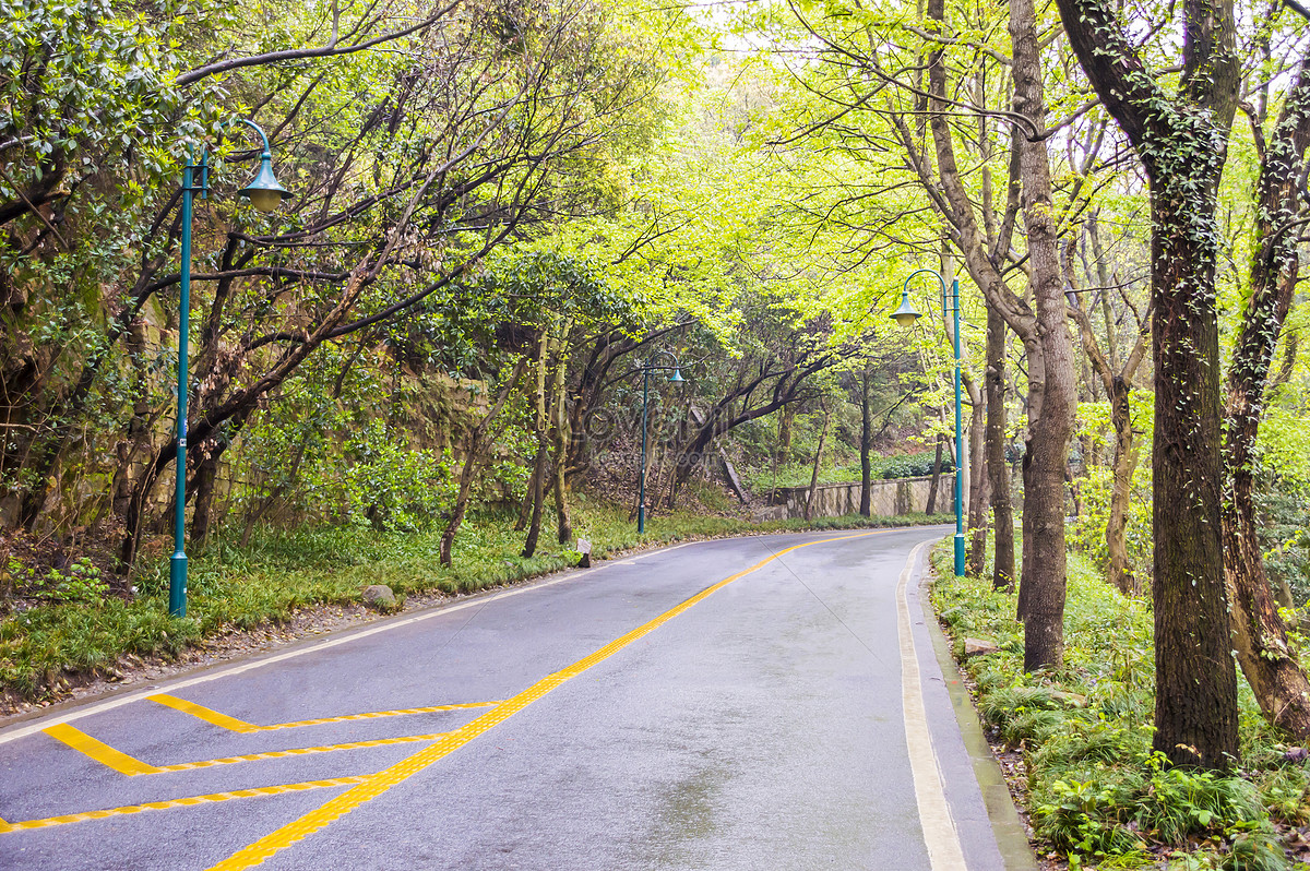 Background Of Intermountain Road Picture And HD Photos | Free Download On  Lovepik