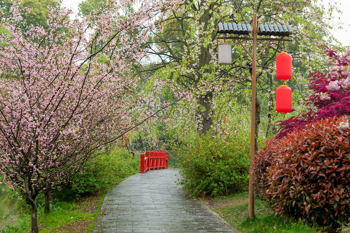 Cherry road. Где находится Вишневая аллея.