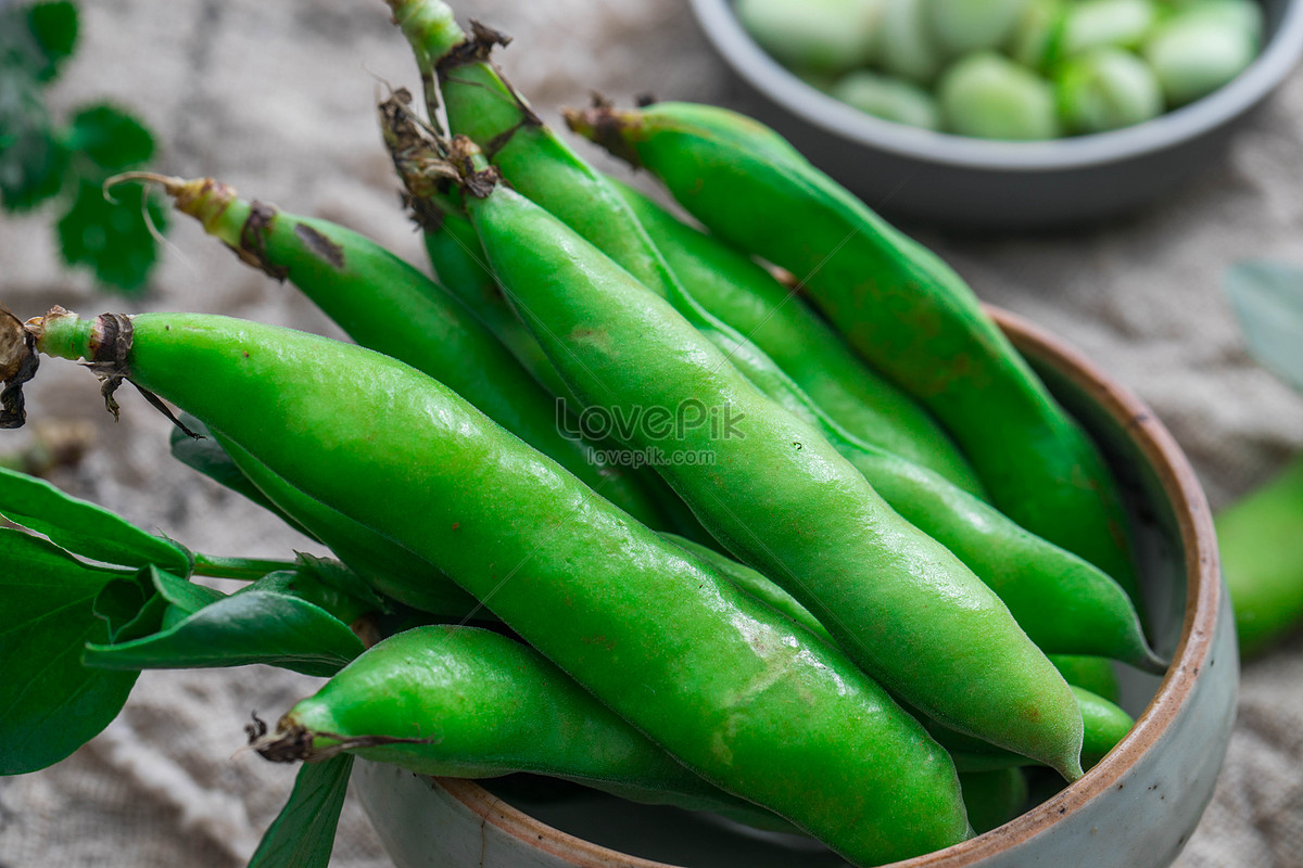 Fresh Vegetable Broad Bean Picture And HD Photos | Free Download On Lovepik