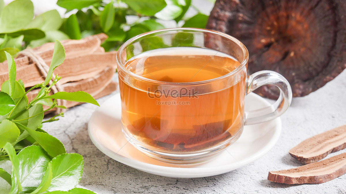 Ganoderma Lucidum Tea Preparation at Cheryl Chambers blog