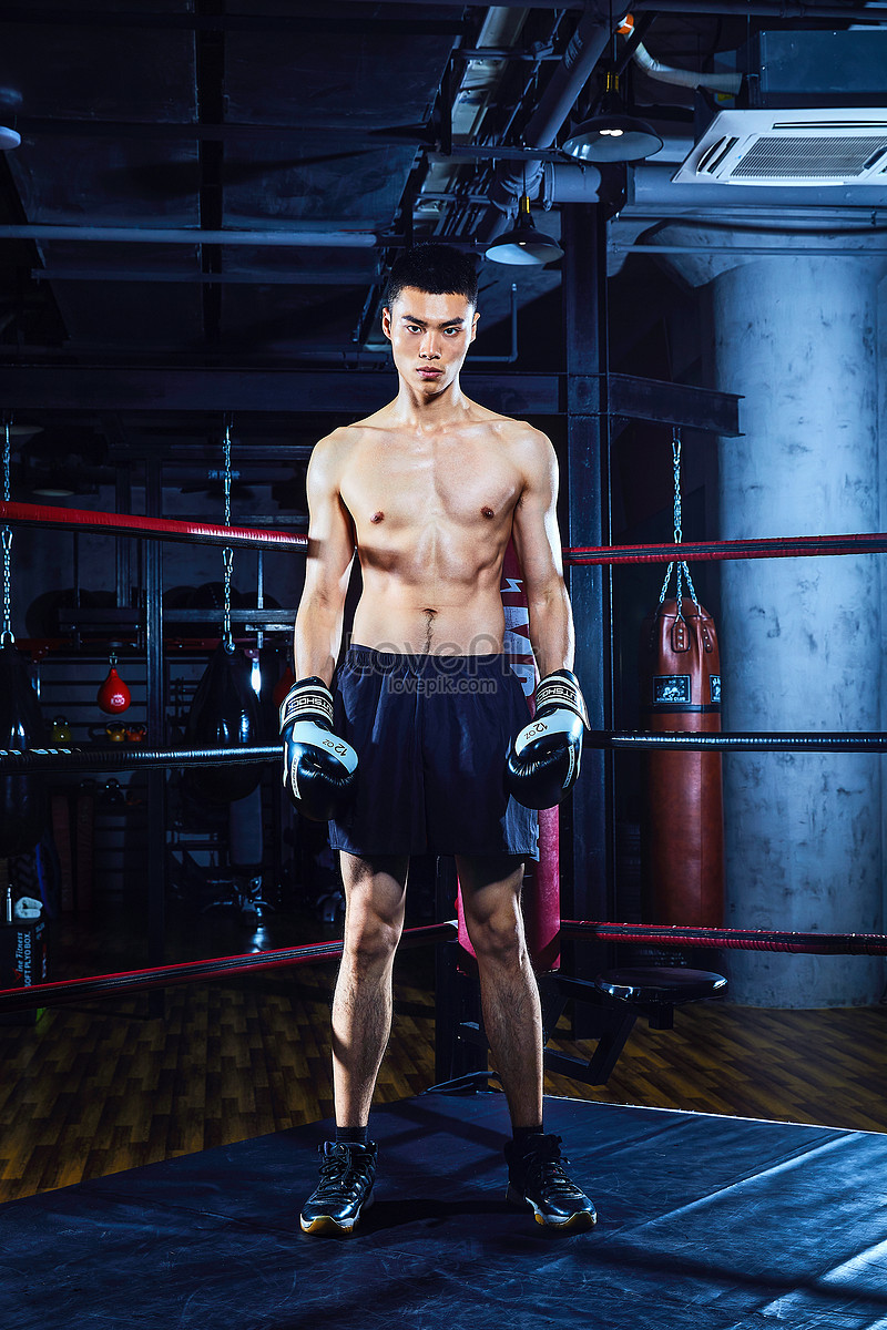 Male Boxer Picture And HD Photos | Free Download On Lovepik