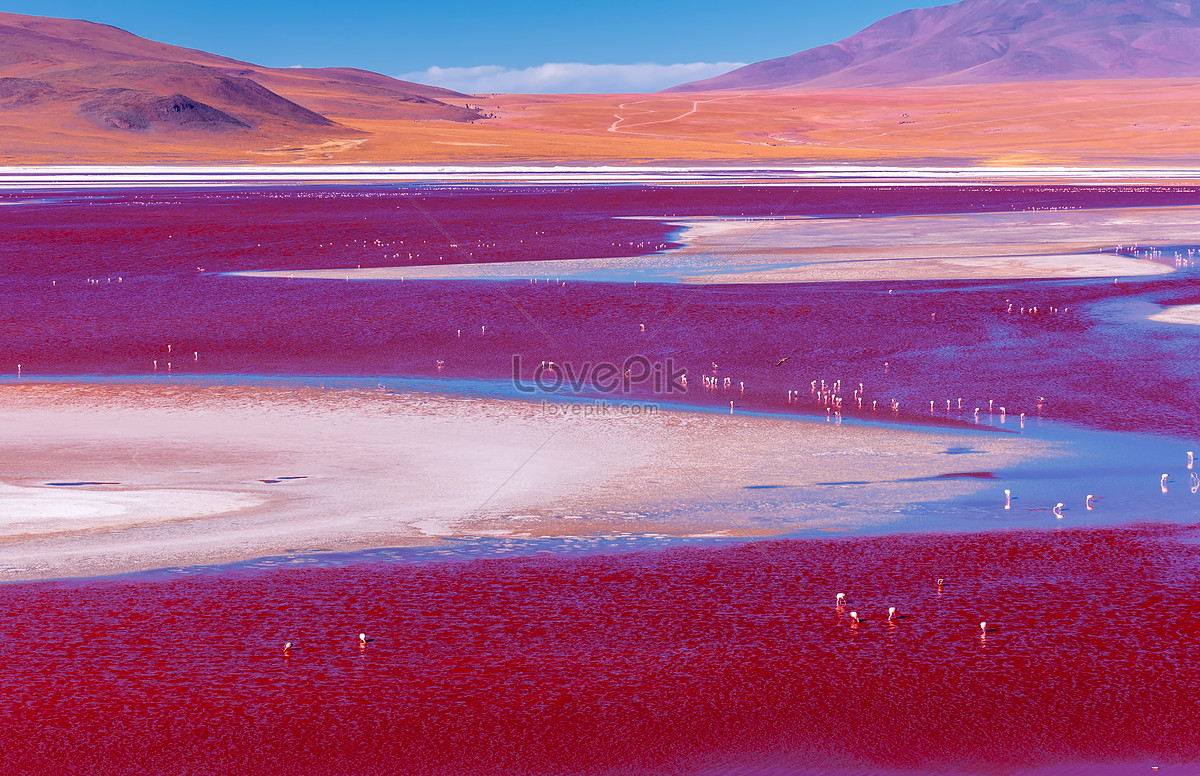 Uyuni Red View Bolivia Picture HD Photos | Free On Lovepik