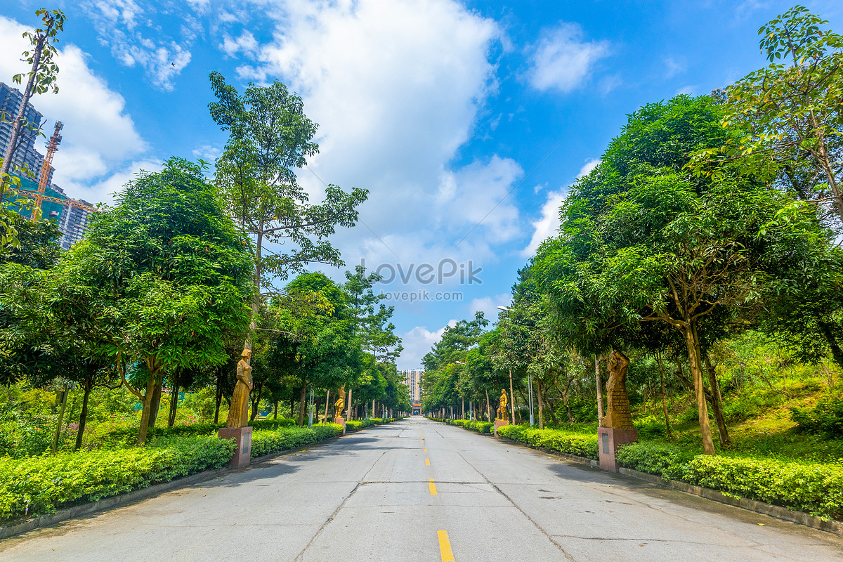 Cemetery Road Picture And HD Photos | Free Download On Lovepik