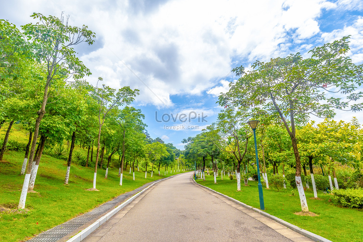Garden Road Images, HD Pictures For Free Vectors Download ...