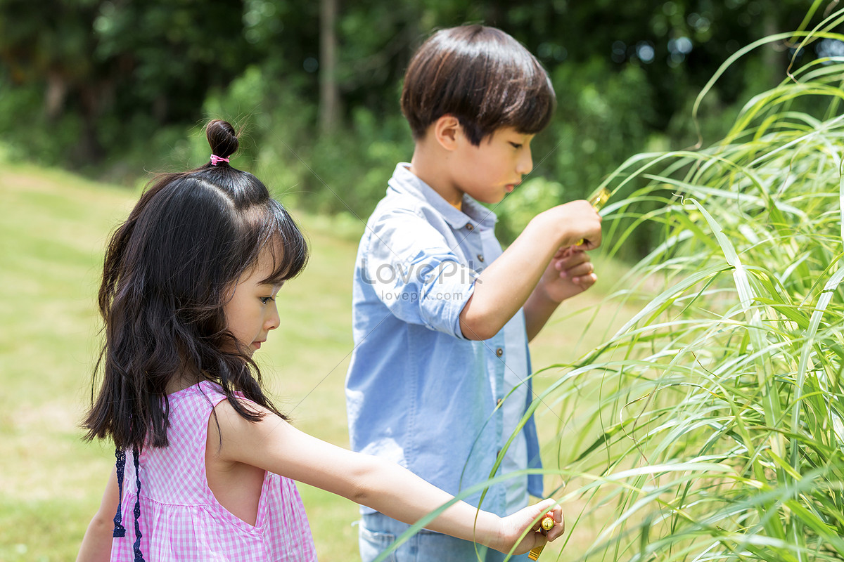 Girl Farm Observing Plants Picture And HD Photos | Free Download On Lovepik