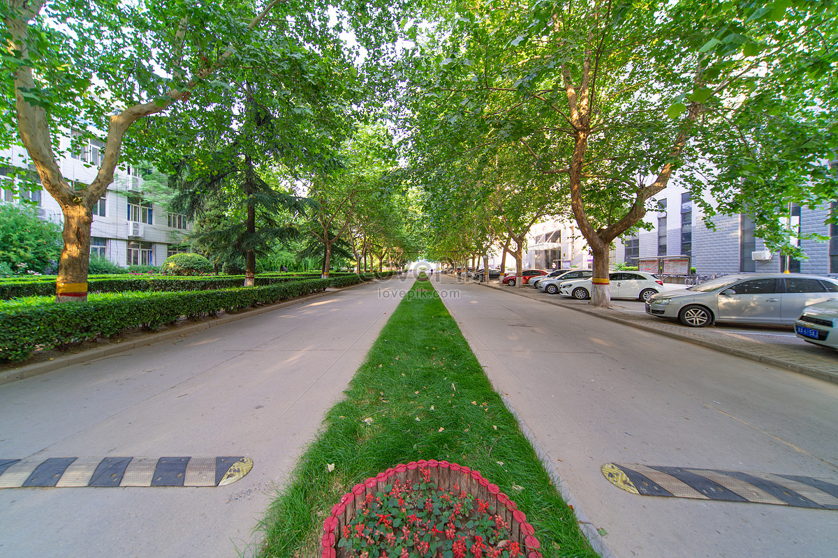 Hebei Medical University Campus Picture And HD Photos | Free Download ...