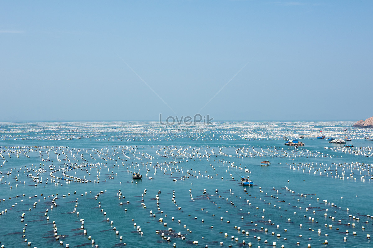 Море и хозяйство