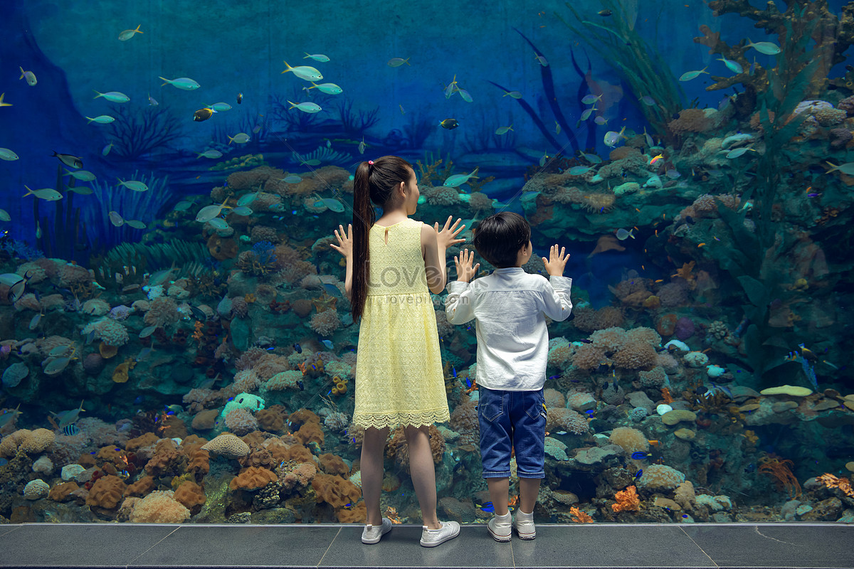 Аквариум сестра. Аквариум для детей. Человек в аквариуме. Sea Life Busan Aquarium.