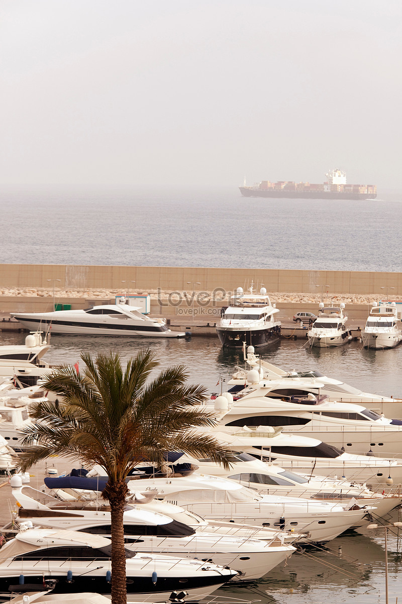 A luxury yacht moored in the dock wall while sailing in the Medi, tree, dock, medi HD Photo