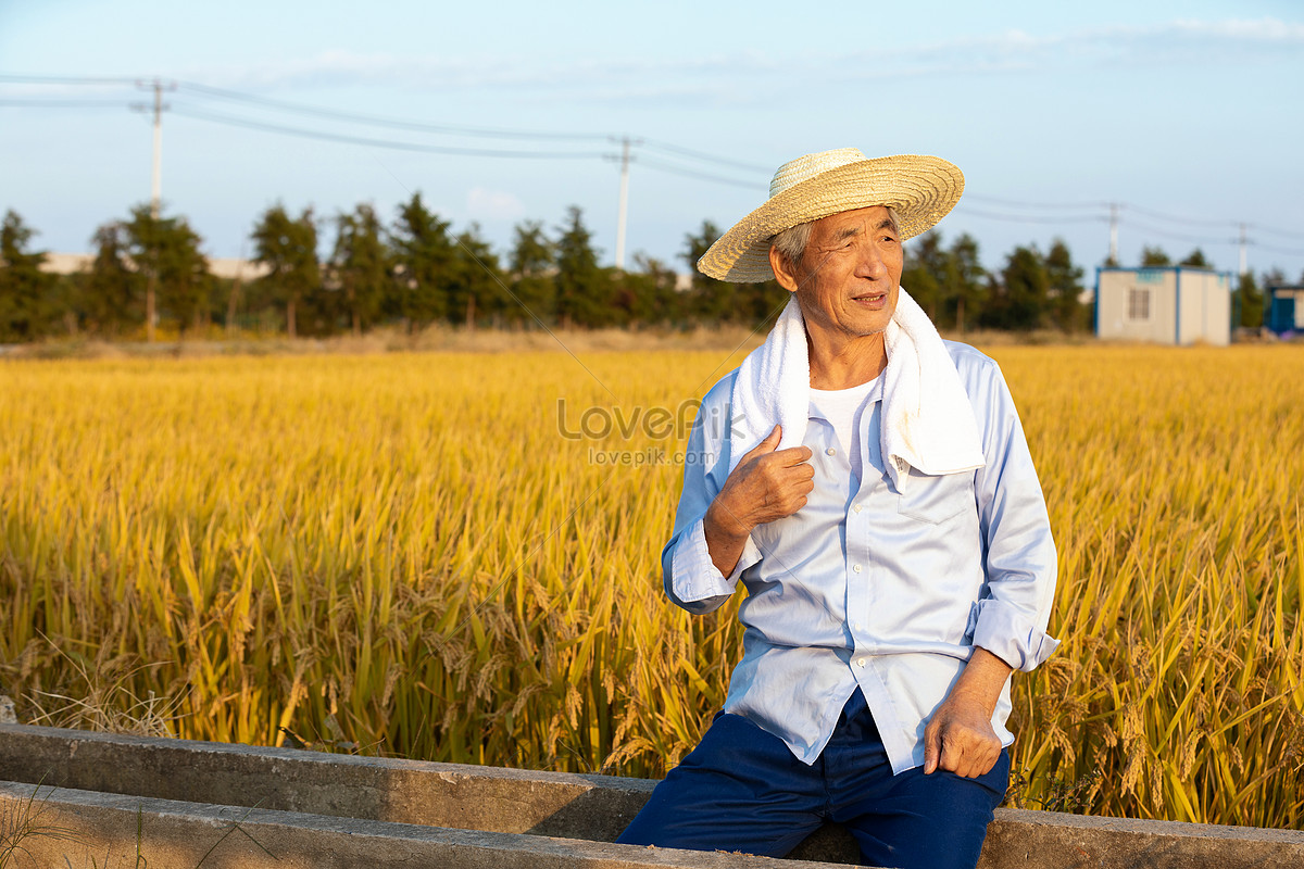 Rest farmers. Фермер отдыхает с соломкой в зубах. Фермер отдыхает с соломкой в зубах арт.