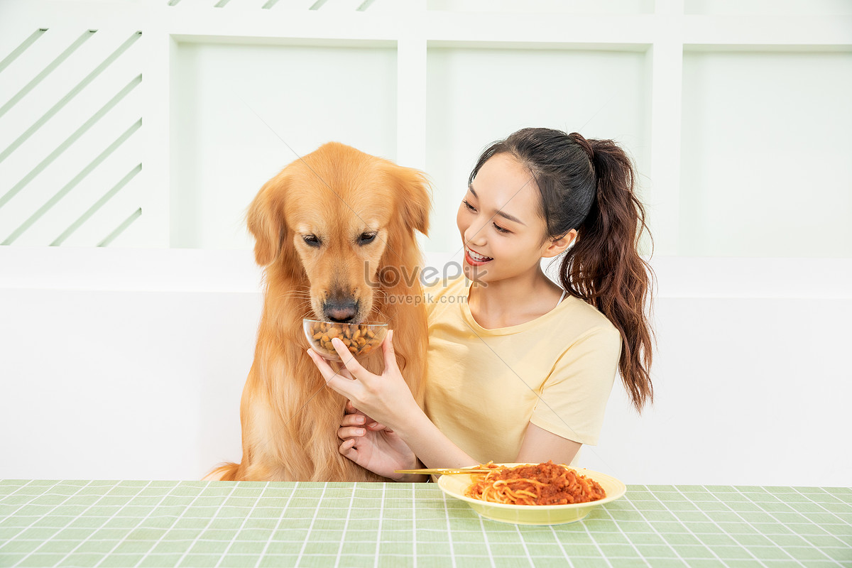 Together pet. Делиться едой с собакой картинка на прозрачном фоне. Семья на кухне с золотистым ретривером.